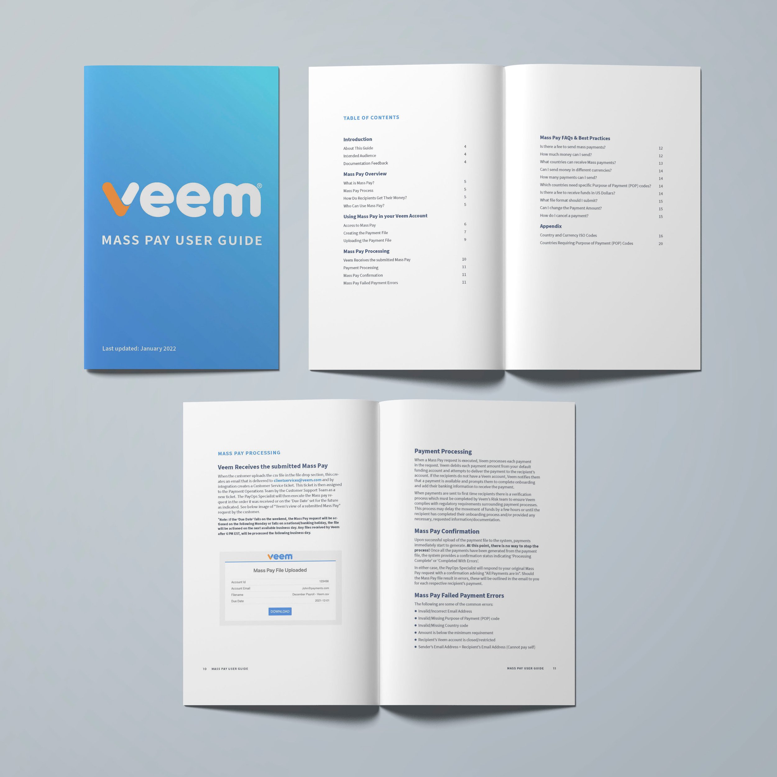 Veem Mass Pay user guide